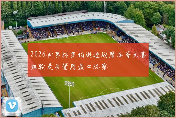 2026世界杯罗伯逊迎战摩洛哥大赛经验是否管用盘口观察