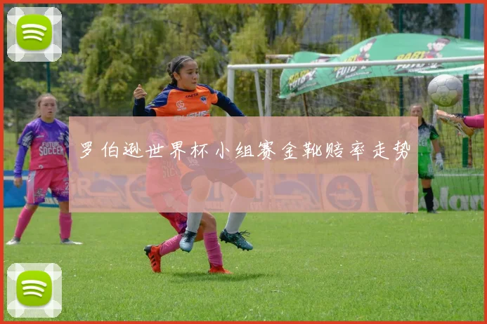 罗伯逊世界杯小组赛金靴赔率走势