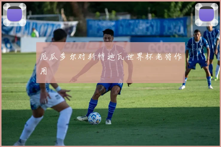 厄瓜多尔对科特迪瓦世界杯老将作用