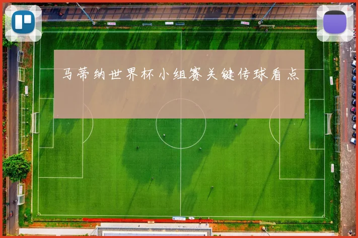 马蒂纳世界杯小组赛关键传球看点