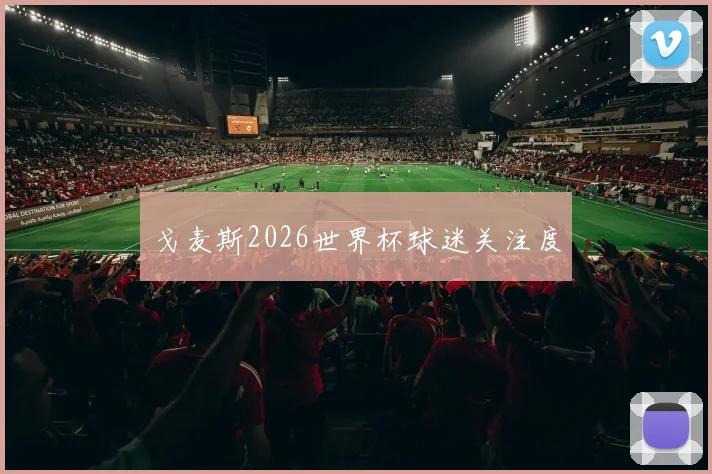 戈麦斯2026世界杯球迷关注度