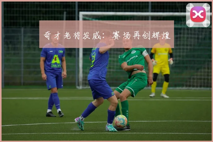 奇才老将发威:赛场再创辉煌