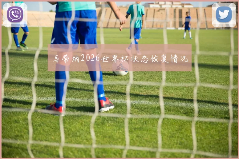 马蒂纳2026世界杯状态恢复情况
