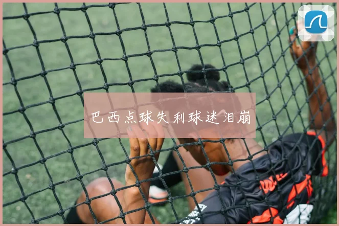 巴西点球失利球迷泪崩