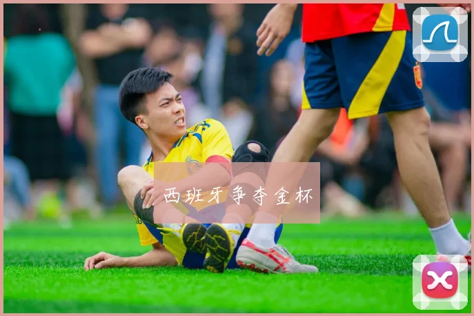西班牙争夺金杯
