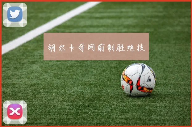 胡尔卡奇网前制胜绝技