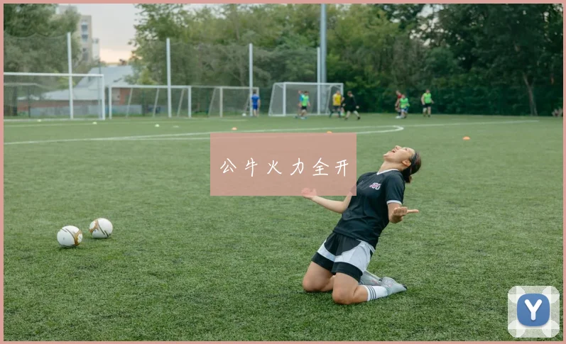公牛火力全开