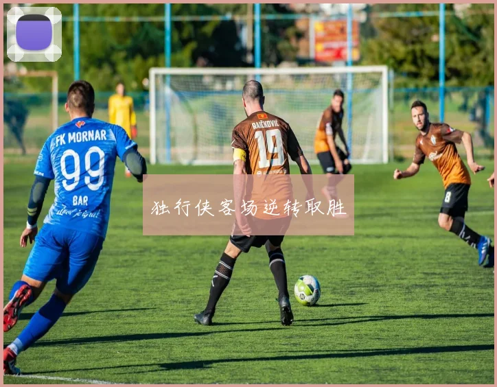 独行侠客场逆转取胜