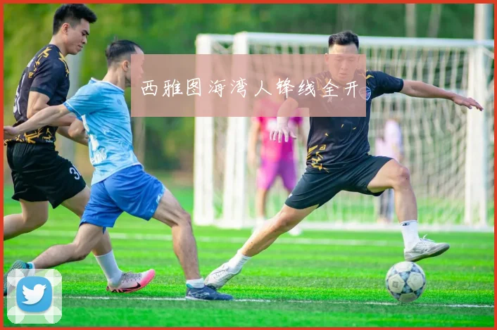 西雅图海湾人锋线全开