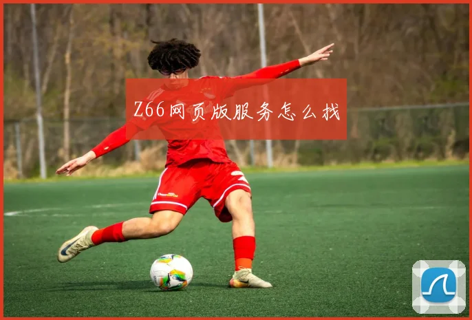 Z66网页版服务怎么找