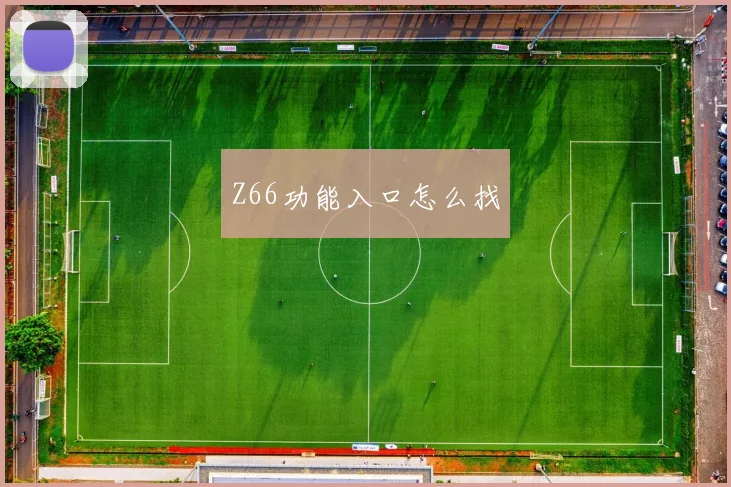 Z66功能入口怎么找