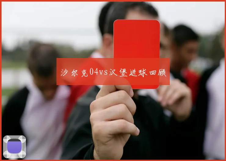 沙尔克04vs汉堡进球回顾